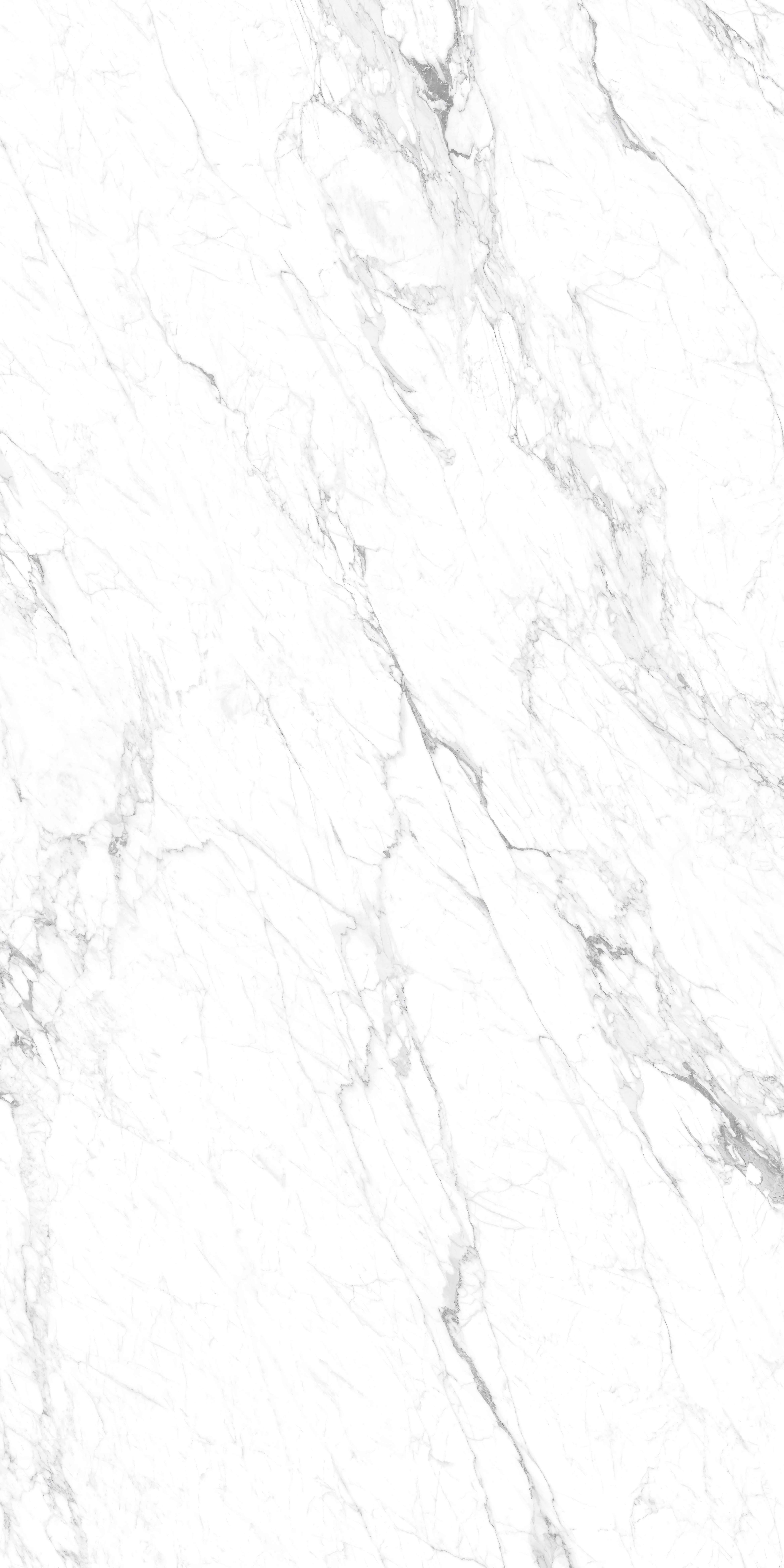 Statuarion Delicato 雅致白-B.jpg