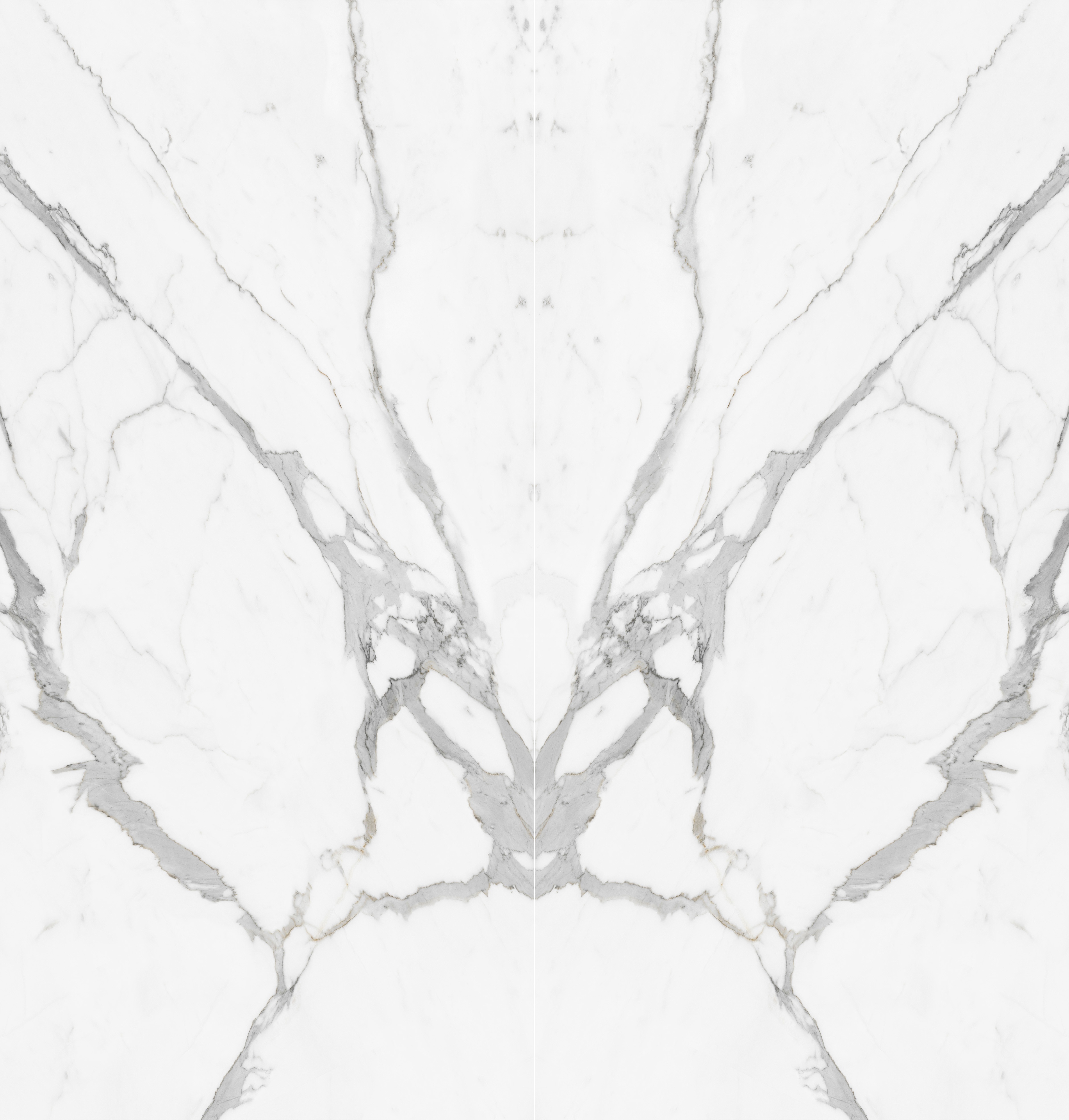 Calacatta Butterfly-BookMatch.jpg