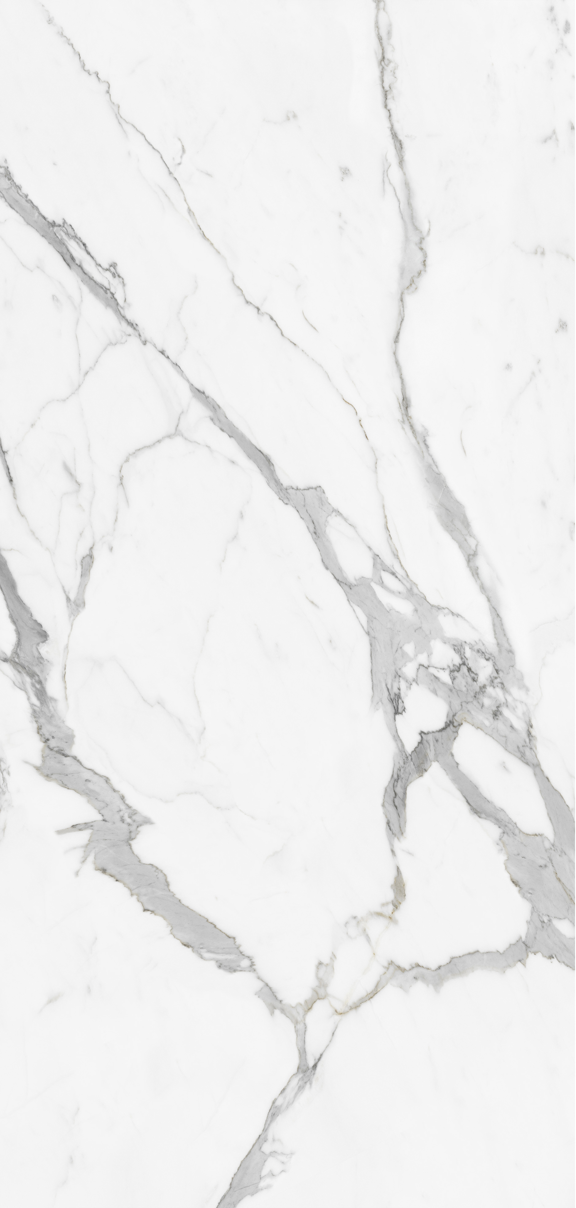 Calacatta Butterfly-A.jpg