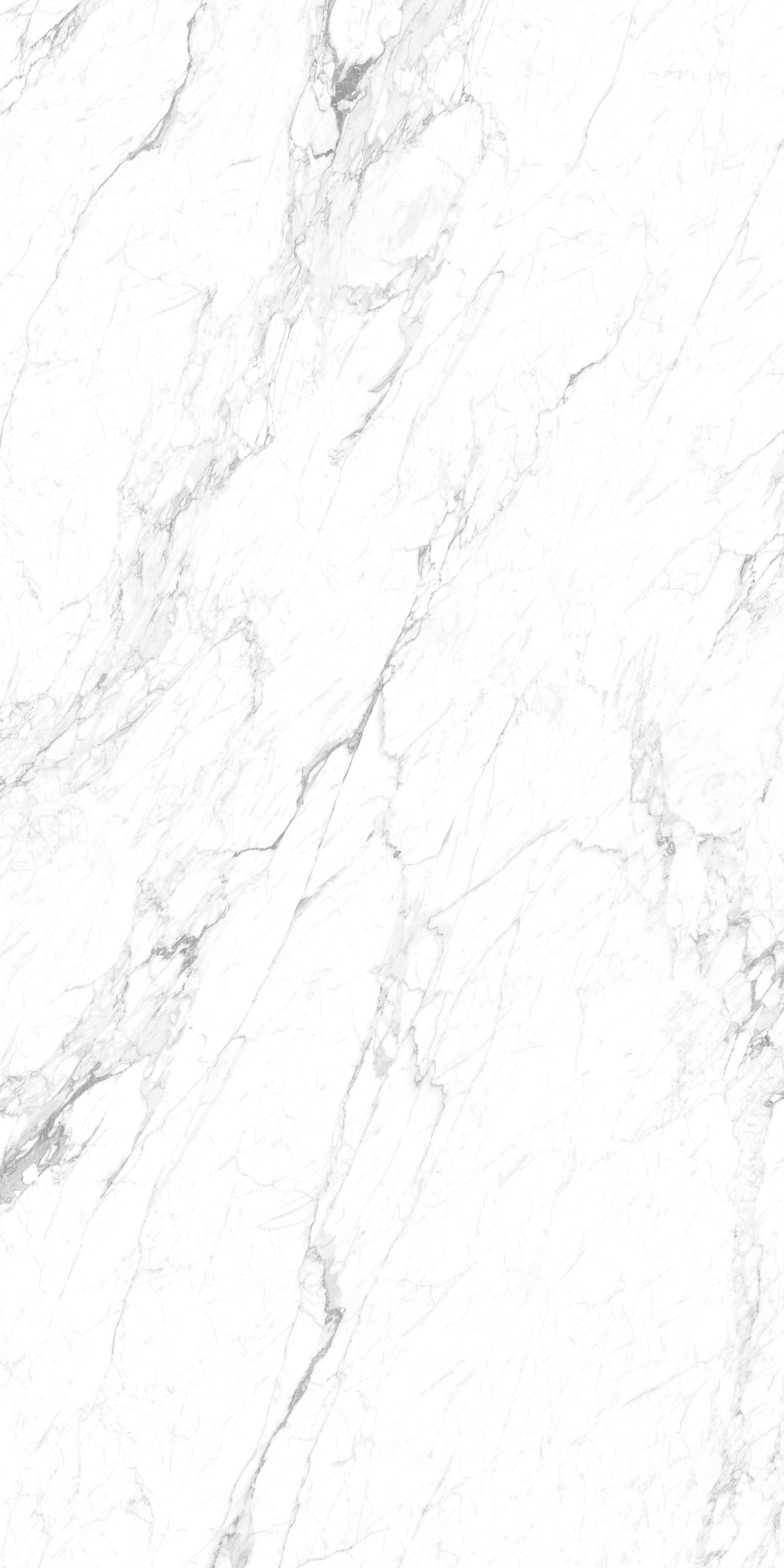 Statuarion Delicato 雅致白-A.jpg