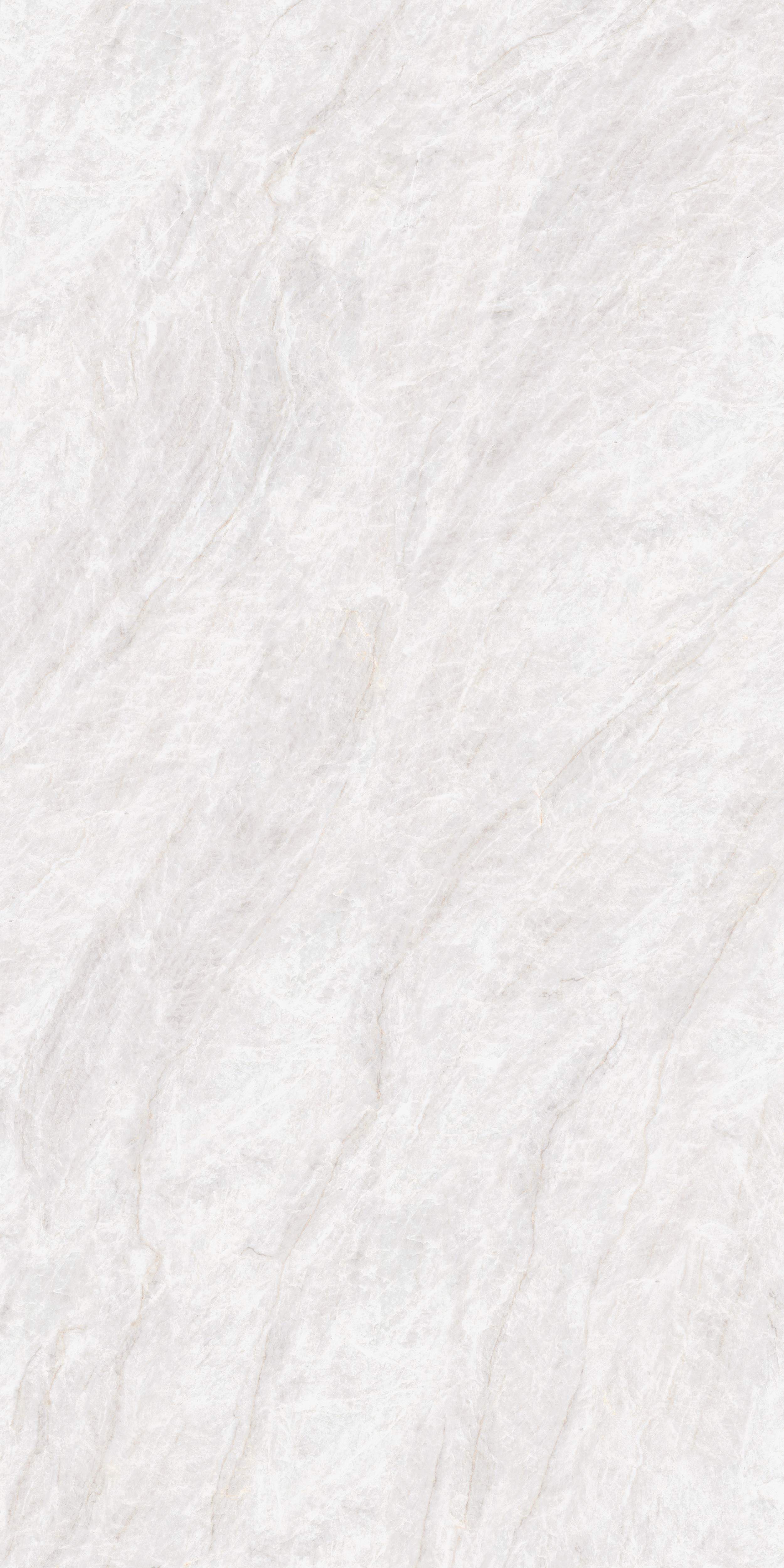 Taj Mahal 1600x3200x12mm-B.jpg