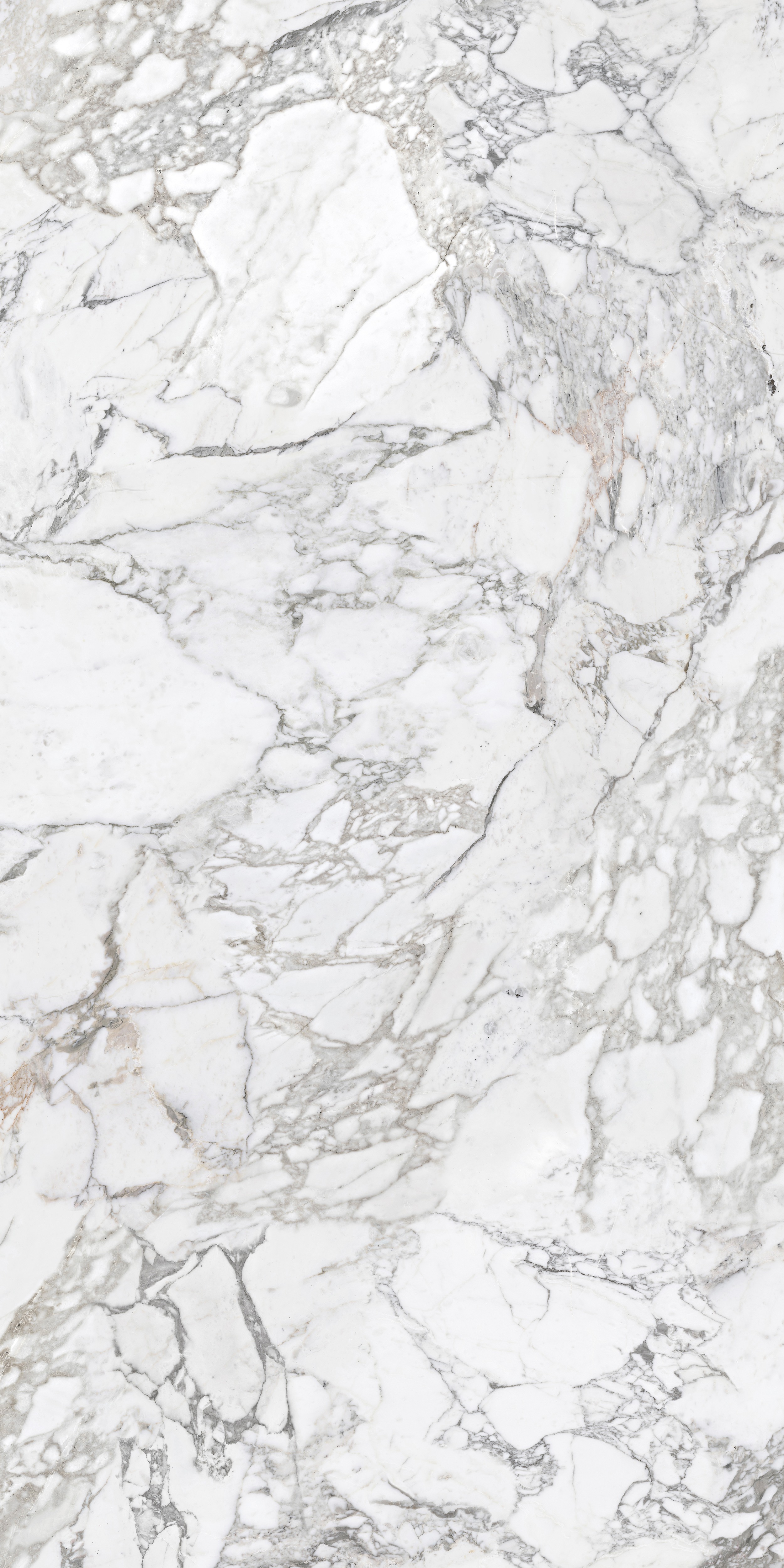 Arabescato Corchia 1600x3200x12m-B.jpg