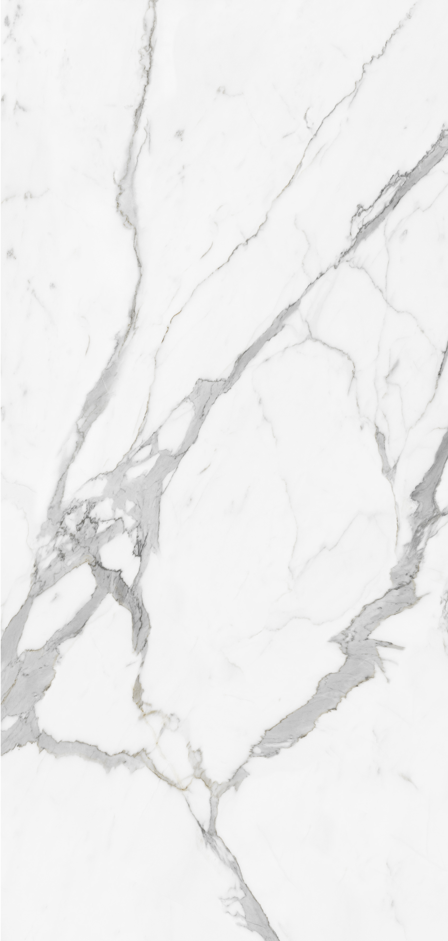 Calacatta Butterfly-B.jpg