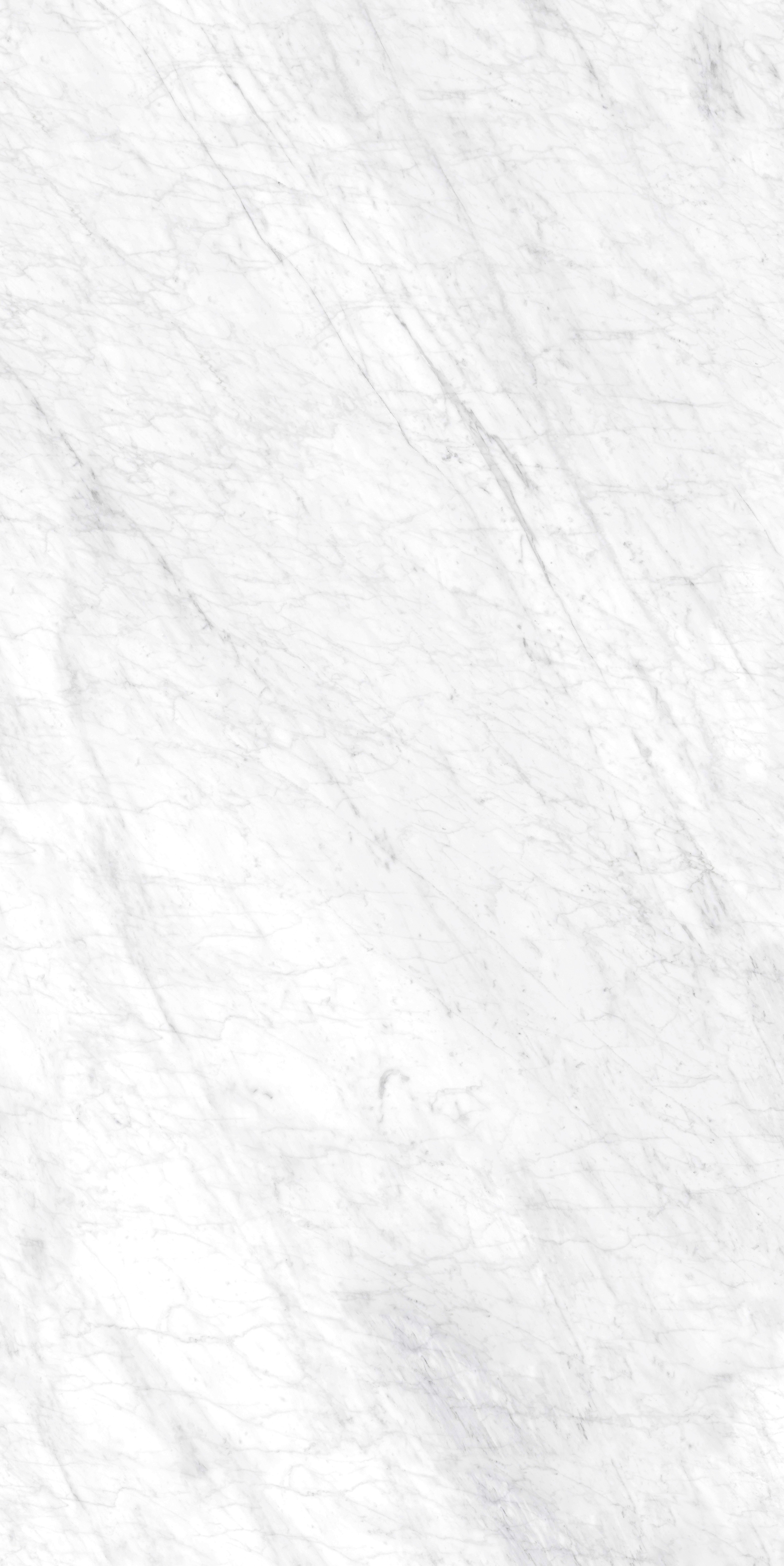 Bianco Venatino 1600x3200x12mm-B.jpg