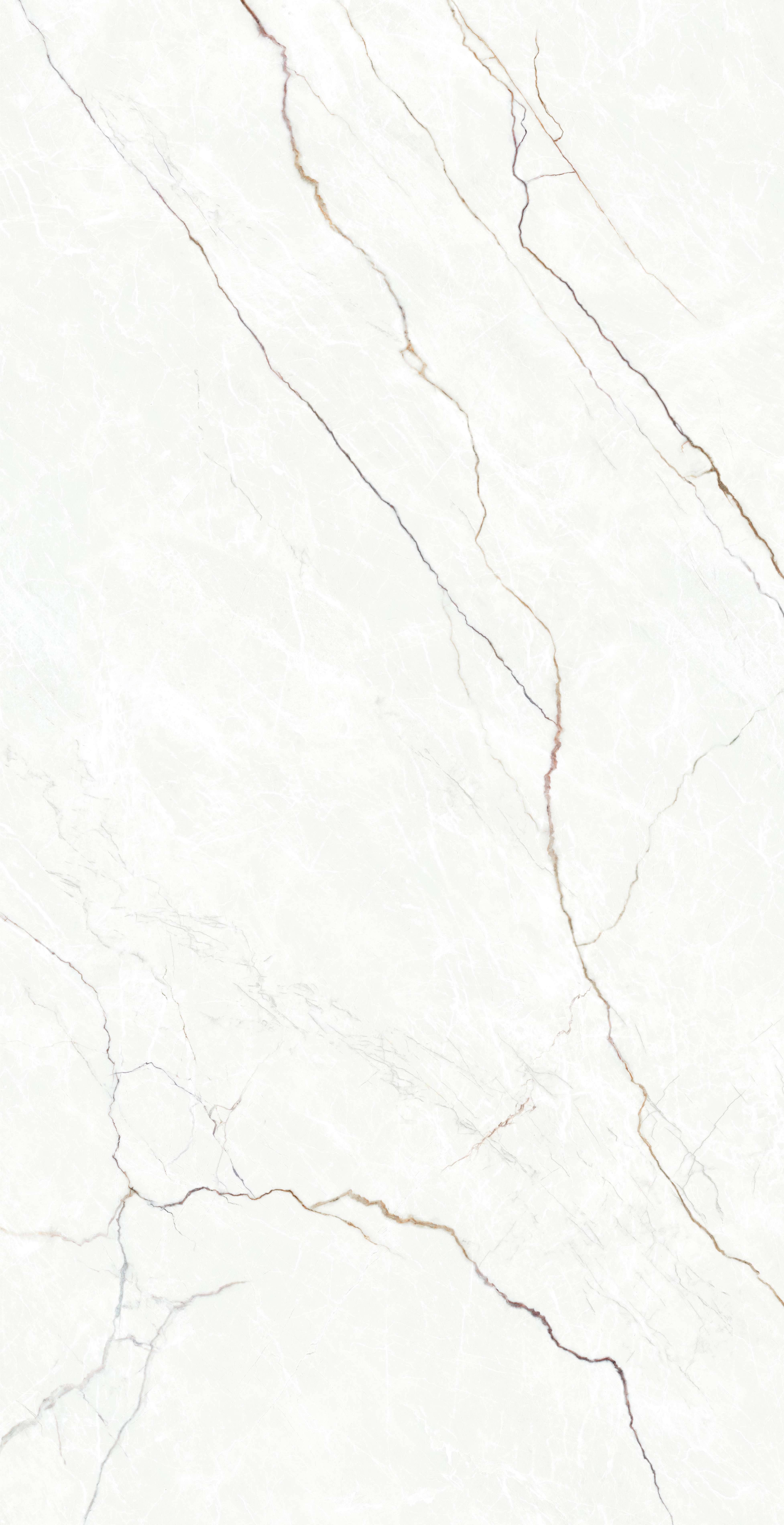 Palop 1600x3200x12mm-B.jpg